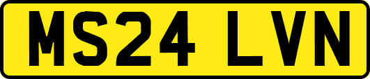 MS24LVN