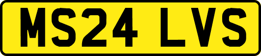 MS24LVS