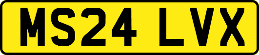 MS24LVX