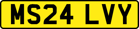 MS24LVY