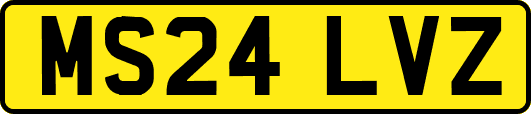 MS24LVZ