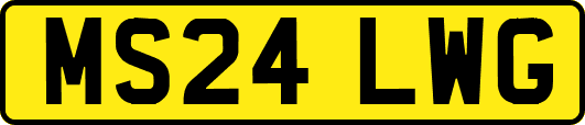 MS24LWG
