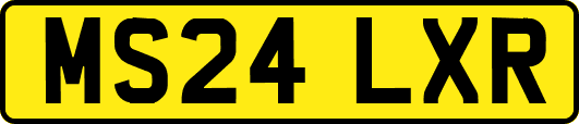MS24LXR