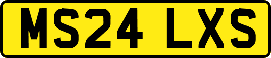 MS24LXS