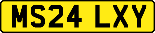 MS24LXY