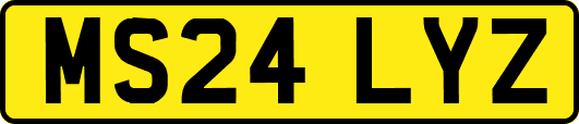 MS24LYZ