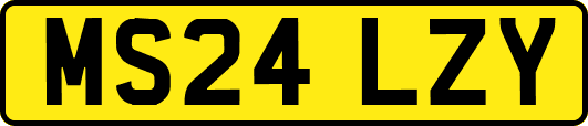 MS24LZY