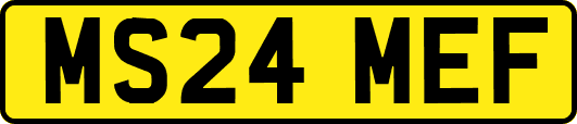 MS24MEF