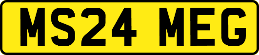 MS24MEG