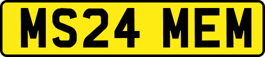 MS24MEM