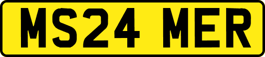 MS24MER