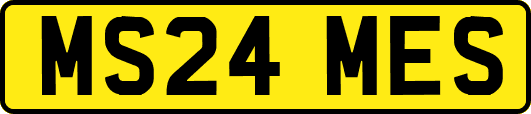 MS24MES