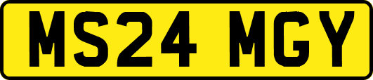 MS24MGY