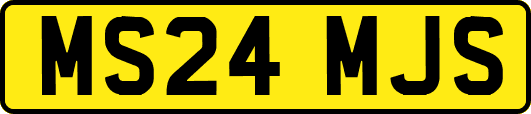 MS24MJS