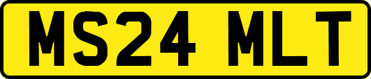 MS24MLT