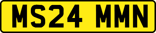 MS24MMN