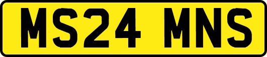 MS24MNS