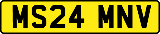 MS24MNV
