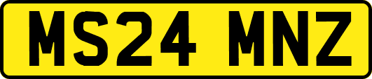 MS24MNZ