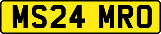 MS24MRO