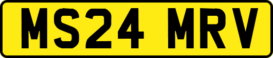 MS24MRV