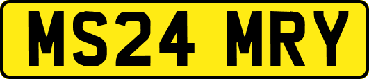 MS24MRY