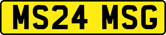 MS24MSG