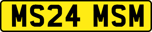 MS24MSM