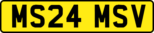 MS24MSV