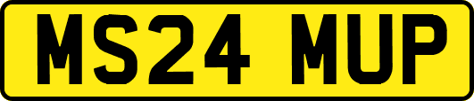 MS24MUP