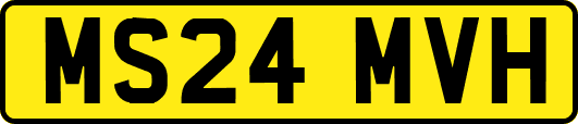 MS24MVH