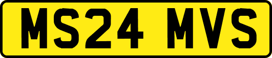 MS24MVS