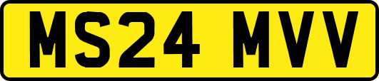 MS24MVV