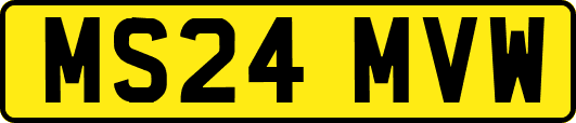 MS24MVW