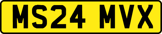 MS24MVX