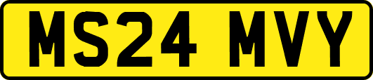 MS24MVY