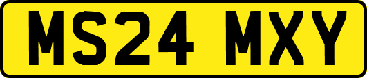 MS24MXY