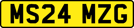 MS24MZG