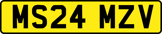 MS24MZV