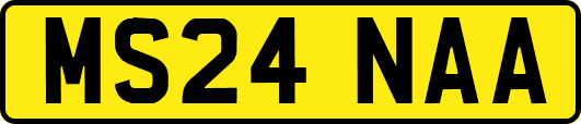 MS24NAA