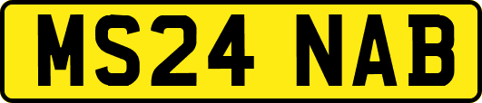 MS24NAB