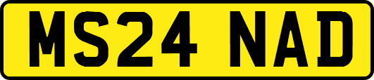 MS24NAD
