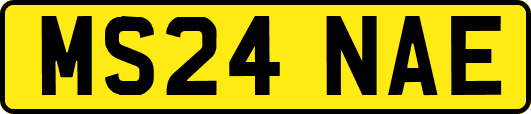 MS24NAE