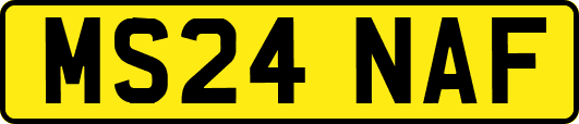 MS24NAF