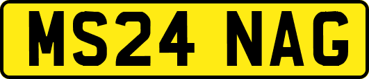 MS24NAG