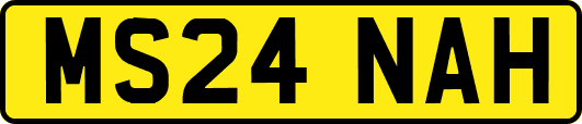MS24NAH