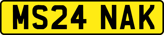 MS24NAK