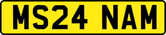 MS24NAM