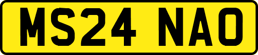 MS24NAO