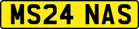 MS24NAS